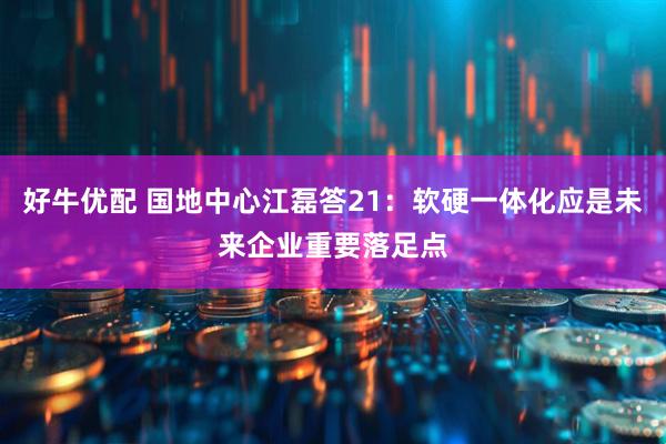 好牛优配 国地中心江磊答21：软硬一体化应是未来企业重要落足点