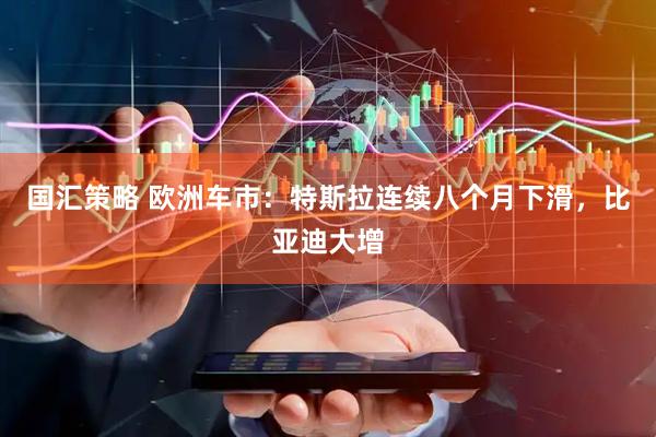国汇策略 欧洲车市：特斯拉连续八个月下滑，比亚迪大增