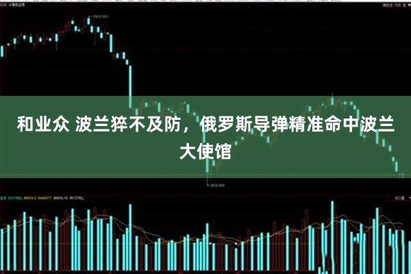 和业众 波兰猝不及防，俄罗斯导弹精准命中波兰大使馆