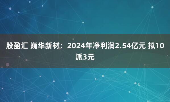 股盈汇 巍华新材：2024年净利润2.54亿元 拟10派3元