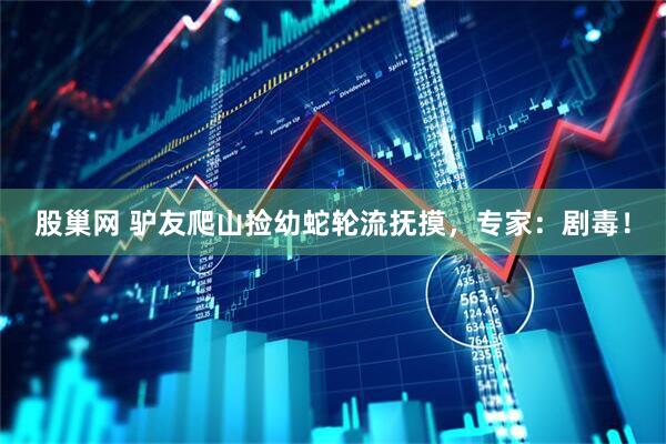 股巢网 驴友爬山捡幼蛇轮流抚摸,专家:剧毒!