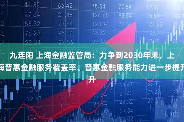 九连阳 上海金融监管局：力争到2030年末，上海普惠金融服务覆盖率、普惠金融服务能力进一步提升